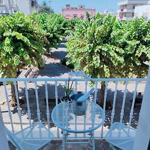 Camera superior con letto king size